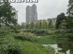 -顺峰山公园