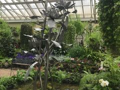 -斐兹洛伊花园