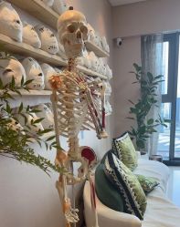 -颜和骨正&明星徒手小颜整骨