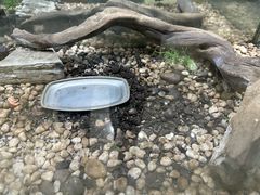 -上海昆虫博物馆