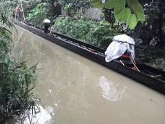 -小洲村