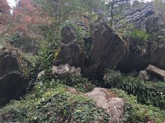 -梭布垭石林景区