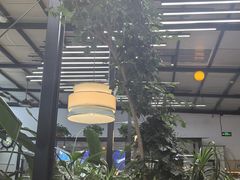 -杯莫亭(集里店)