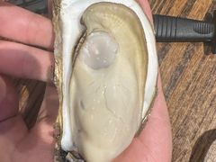 -蚝堡海鲜·威海菜·海肠捞饭·烧烤·亚洲吃蚝公司(幸福门店)
