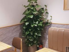 -宋益驴蹄子面肉夹馍(辛家庙店)