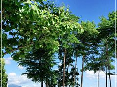 -深圳湾公园(南山区)