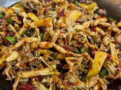 子姜蛙-呱呱兔庄