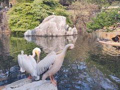-昆明动物园