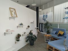 -有猫主题·治愈系猫咖(曾厝垵店)