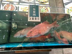 -金海湾海鲜总店