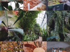 -国家植物园南园