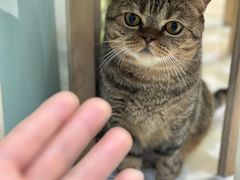 -纳吉亚猫专科动物医院博雅分院