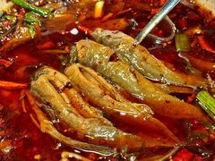 -情妹耙泥鳅·江湖川菜(科华店)