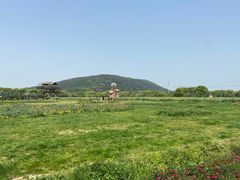 -苏州太湖西山岛开心农场