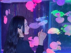 -左海海底世界