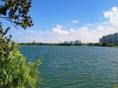 -金银湖国家城市湿地公园