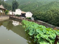 -荷塘味道(水长城店)