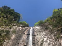 景点-黑河国家森林公园