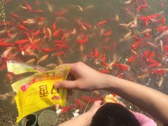 -无锡动物园·太湖欢乐园