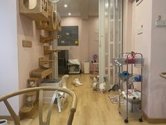 -猫咪派对(江南西店)