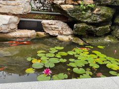 -隐食私房菜(渡口·光荣院南门·老街店)