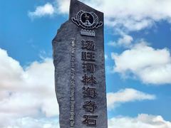 -汤旺河林海奇石景区