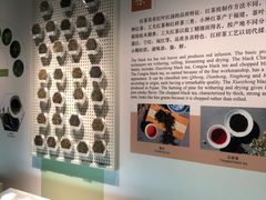 -中国茶叶博物馆(双峰馆区)