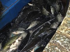 -白家寨子·山野白族菜(古城总店)