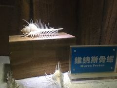 -南昌海洋公园