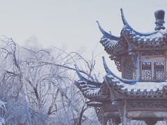 -雾凇岛