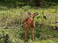 -卡塞拉自然公园