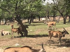 -西安秦岭野生动物园