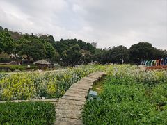-天河儿童公园