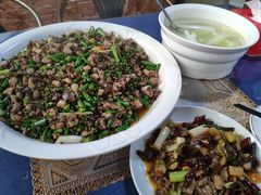 -铁山坪森林公园