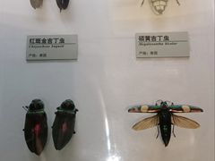 -常州博物馆