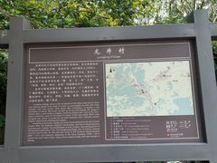 -龙井村
