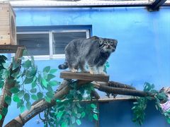 -青藏高原野生动物园