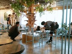 大堂-共舞时光猫咖·狗咖(新街口店)