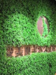 -变美丽半永久纹眉连锁·机器野生眉•洗眉