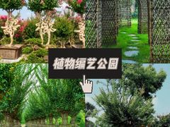 -老鼎万春卤菜(五代传承创始老店)