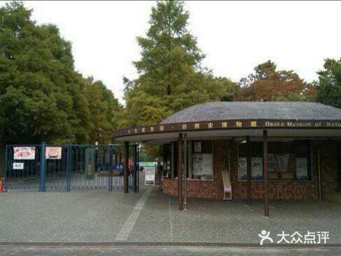 大阪市立自然史博物馆图片