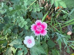 -西部长青自然儿童乐园