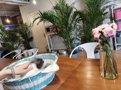 -Cappucimeow猫咪咖啡馆(韦伯时代店)
