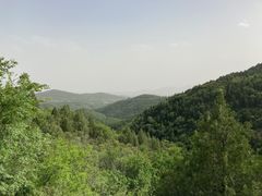 -北京西山国家森林公园