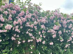 -无锡师范学校附属小学(学前街校区)