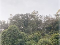 -南海湾森林生态园