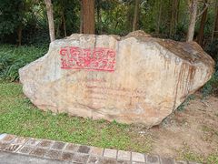-聚龙山公园