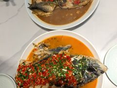 -全乐鱼馆·淳牌有机鱼直营店