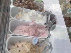 -柠檬车露(卖草地店)