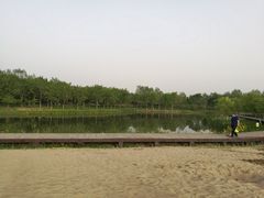 -东郊湿地公园